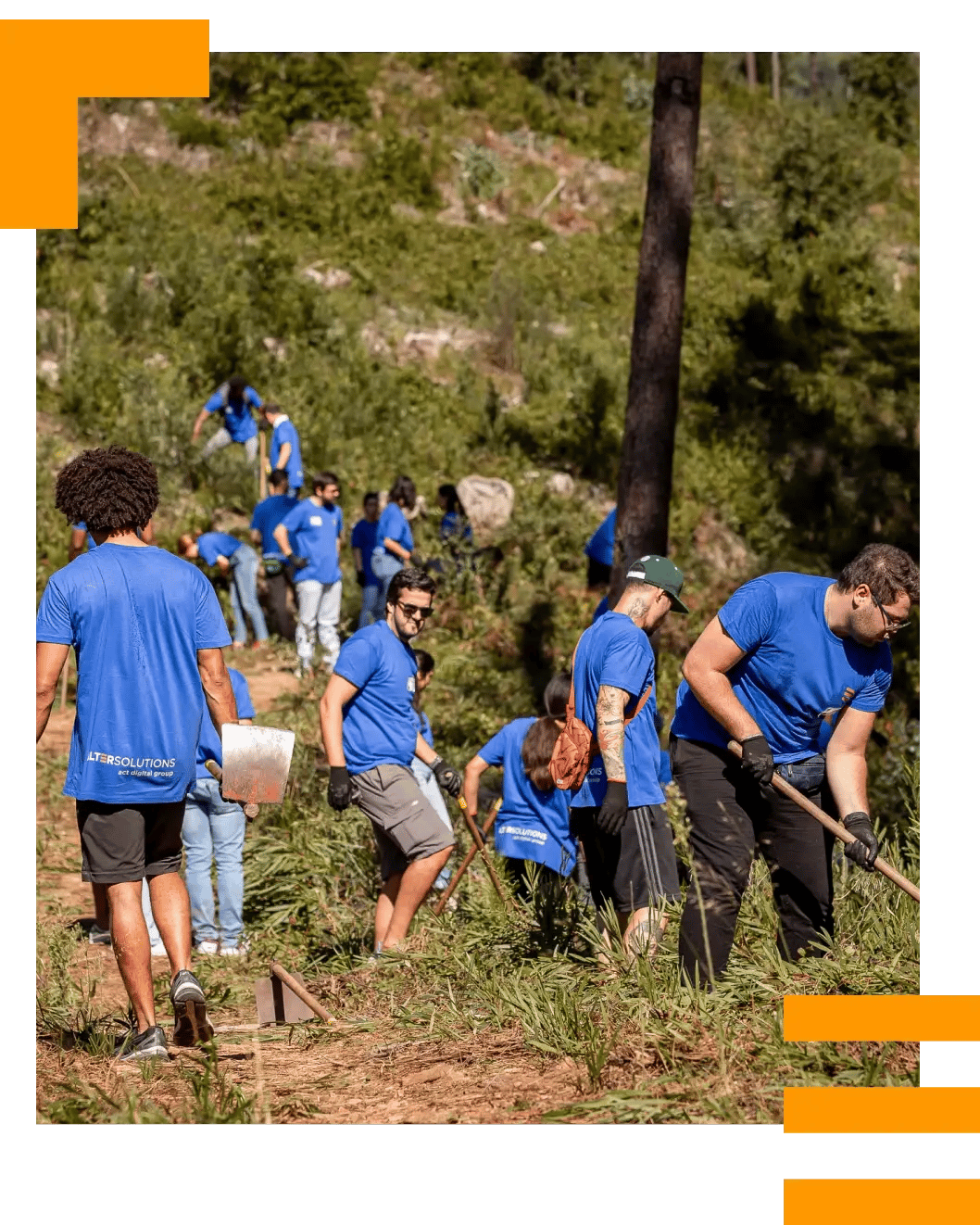 Die Experten von Alter Solutions arbeiten als Team bei einer Outdoor-Aktivität mit Umweltbezug